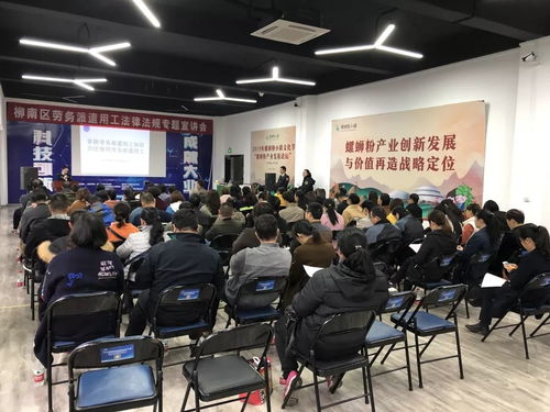 柳南區舉辦勞務派遣用工法律法規專題宣講會，助力互聯網信息服務行業規范發展