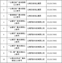 云南信息報旗下六產品獲首批互聯網新聞信息服務許可，賦能區域信息服務新格局
